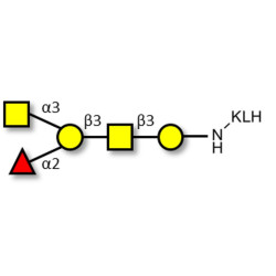 Blood group A antigen pentaose type 4 grafted on KLH