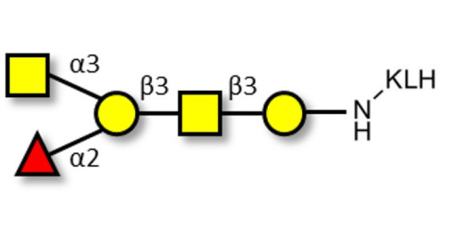 Blood group A antigen pentaose type 4 grafted on KLH - Blood group A antigen pentaose type IV; Blood group A antigen pentasaccharide type IV; Blood group A antigen pentasaccharide type 4; A-pentasaccharide type 4
