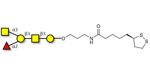Blood group A antigen pentaose type 4 with cyclic di-thiol (Linker-LIPO A) - Blood group A antigen pentaose type IV; Blood group A antigen pentasaccharide type IV; Blood group A antigen pentasaccharide type 4; A-pentasaccharide type 4
