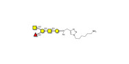 Blood group A antigen...