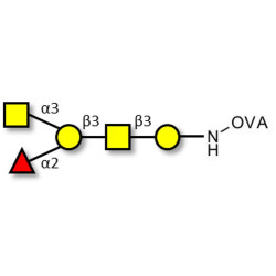 Blood group A antigen pentaose type 4 grafted on OVA