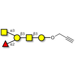 Blood group A antigen pentaose type 4 with terminal alkyne (Linker-CΞCH B)