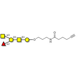 Blood group A antigen pentaose type 4 with terminal alkyne (Linker-CΞCH C)
