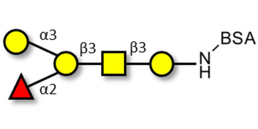 Blood group B antigen pentaose type 4 grafted on BSA