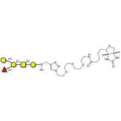 Blood group B antigen pentaose type 4 linked to biotin (Linker-BT A)