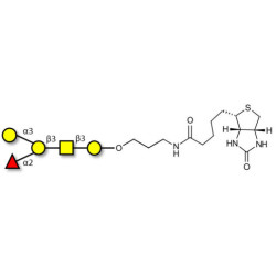 Blood group B antigen pentaose type 4 linked to biotin (Linker-BT B)