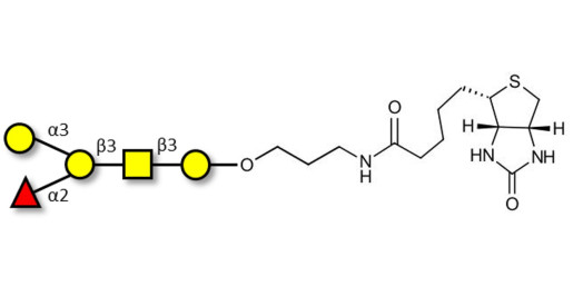 Blood group B antigen pentaose type 4 linked to biotin (Linker-BT B)