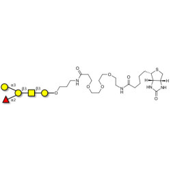 Blood group B antigen pentaose type 4 linked to biotin (Linker-BT C)