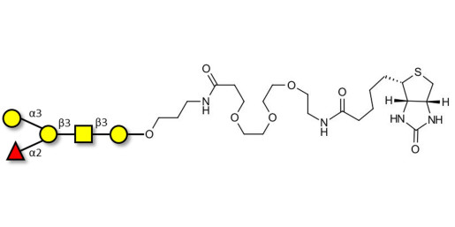 Blood group B antigen pentaose type 4 linked to biotin (Linker-BT C)