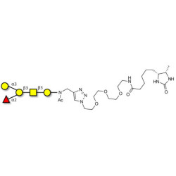 Blood group B antigen pentaose type 4 linked to desthiobiotin (Linker-DBT-A)