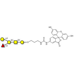 Blood group B antigen pentaose type 4 linked to fluorescein (Linker-FLUO A)