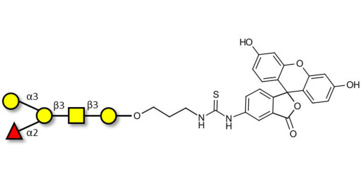 Blood group B antigen pentaose type 4 linked to fluorescein (Linker-FLUO A)