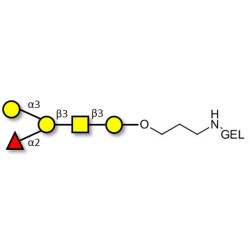 Blood group B antigen pentaose type 4 grafted on gel for affinity chromatography (Linker-GEL B)