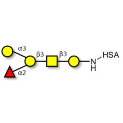 Blood group B antigen pentaose type 4 grafted on HSA