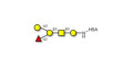 Blood group B antigen pentaose type 4 grafted on HSA