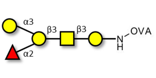 Blood group B antigen pentaose type 4 grafted on OVA