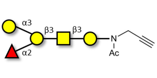 Blood group B antigen pentaose type 4 with terminal alkyne (Linker-CΞCH A)