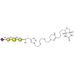 Stage-Specific Embryonic Antigen-4 tetraose (SSEA-4 tetraose) linked to biotin (Linker-BT A)
