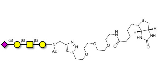 Stage-Specific Embryonic Antigen-4 tetraose (SSEA-4 tetraose) linked to biotin (Linker-BT A)