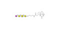 Stage-Specific Embryonic Antigen-4 tetraose (SSEA-4 tetraose) linked to biotin (Linker-BT B)