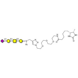 Stage-Specific Embryonic Antigen-4 tetraose (SSEA-4 tetraose) linked to desthiobiotin (Linker-DBT-A)