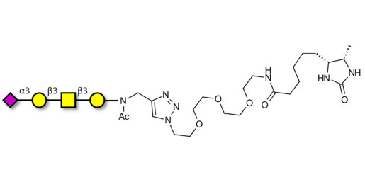 Stage-Specific Embryonic Antigen-4 tetraose (SSEA-4 tetraose) linked to desthiobiotin (Linker-DBT-A)