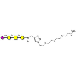 Stage-Specific Embryonic Antigen-4 tetraose (SSEA-4 tetraose) grafted on gel for affinity chromatography (Linker-GEL A)