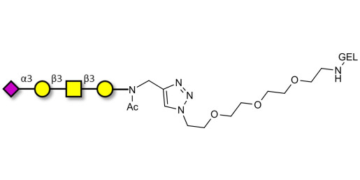 Stage-Specific Embryonic Antigen-4 tetraose (SSEA-4 tetraose) grafted on gel for affinity chromatography (Linker-GEL A)