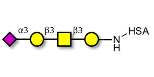 Stage-Specific Embryonic Antigen-4 tetraose (SSEA-4 tetraose) grafted on HSA