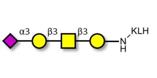 Stage-Specific Embryonic Antigen-4 tetraose (SSEA-4 tetraose) grafted on KLH