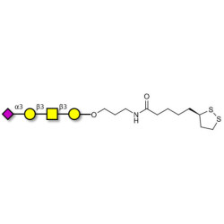 Stage-Specific Embryonic Antigen-4 tetraose (SSEA-4 tetraose) with cyclic di-thiol (Linker-LIPO A)