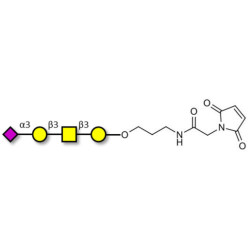 Stage-Specific Embryonic Antigen-4 tetraose (SSEA-4 tetraose) linked to maleimide (Linker-MAL A)