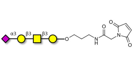 Stage-Specific Embryonic Antigen-4 tetraose (SSEA-4 tetraose) linked to maleimide (Linker-MAL A)