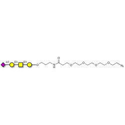 Stage-Specific Embryonic Antigen-4 tetraose (SSEA-4 tetraose) with terminal azide (Linker-N3 A)