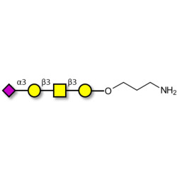 Stage-Specific Embryonic Antigen-4 tetraose (SSEA-4 tetraose) with free terminal amine (Linker-NH2 A)
