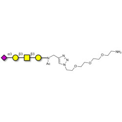 Stage-Specific Embryonic Antigen-4 tetraose (SSEA-4 tetraose) with free terminal amine (Linker-NH2 B)
