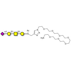 Stage-Specific Embryonic Antigen-4 tetraose (SSEA-4 tetraose) with free terminal amine (Linker-NH2 C)