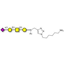 Stage-Specific Embryonic Antigen-4 tetraose (SSEA-4 tetraose) with free terminal amine (Linker-NH2 D)