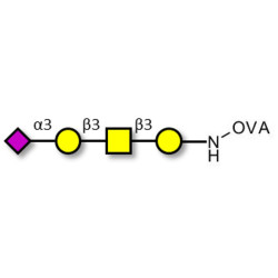 Stage-Specific Embryonic Antigen-4 tetraose (SSEA-4 tetraose) grafted on OVA