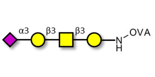 Stage-Specific Embryonic Antigen-4 tetraose (SSEA-4 tetraose) grafted on OVA