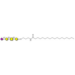 Stage-Specific Embryonic Antigen-4 tetraose (SSEA-4 tetraose) with stearic chain (Linker-STEA A)
