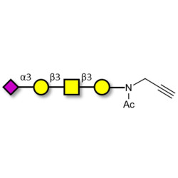 Stage-Specific Embryonic Antigen-4 tetraose (SSEA-4 tetraose) with terminal alkyne (Linker-CΞCH A)