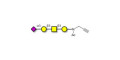 Stage-Specific Embryonic Antigen-4 tetraose (SSEA-4 tetraose) with terminal alkyne (Linker-CΞCH A)