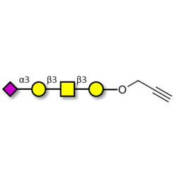 Stage-Specific Embryonic Antigen-4 tetraose (SSEA-4 tetraose) with terminal alkyne (Linker-CΞCH B)