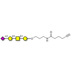 Stage-Specific Embryonic Antigen-4 tetraose (SSEA-4 tetraose) with terminal alkyne (Linker-CΞCH C)