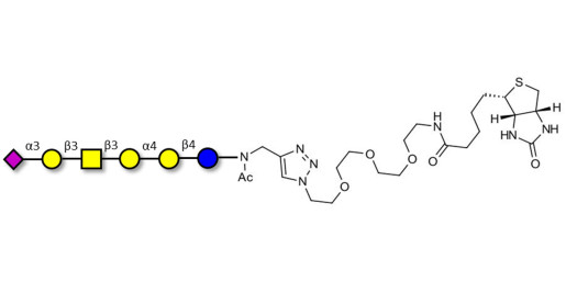 Stage-Specific Embryonic Antigen-4 hexaose (SSEA-4 hexaose) linked to biotin (Linker-BT A) - GLY131-NAc-sp3-Bt