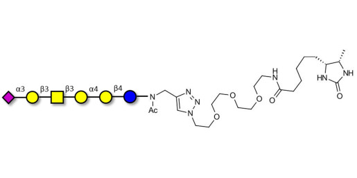 Stage-Specific Embryonic Antigen-4 hexaose (SSEA-4 hexaose) linked to desthiobiotin (Linker-DBT-A)