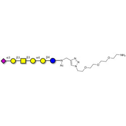 Stage-Specific Embryonic Antigen-4 hexaose (SSEA-4 hexaose) with free terminal amine (Linker-NH2 B)
