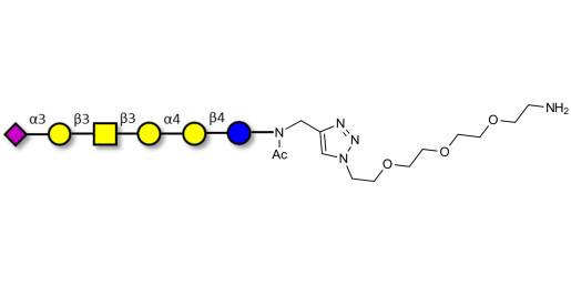 Stage-Specific Embryonic Antigen-4 hexaose (SSEA-4 hexaose) with free terminal amine (Linker-NH2 B) - GLY131-NAc-sp1-NH2