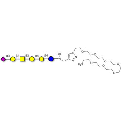 Stage-Specific Embryonic Antigen-4 hexaose (SSEA-4 hexaose) with free terminal amine (Linker-NH2 C)
